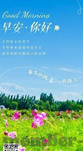 足球比分什么比例最多-足球比分大揭秘，哪些比例最常上演？